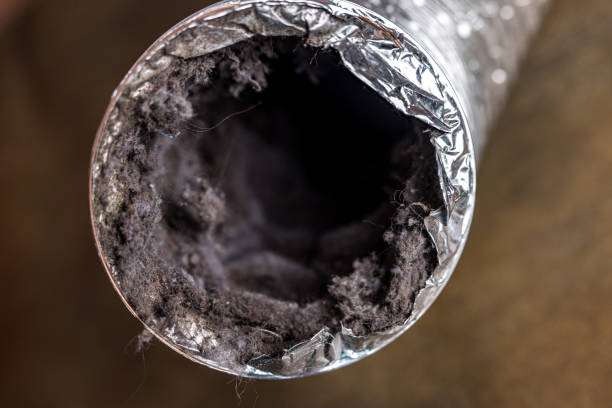 Best Home Air Vent Cleaning  in Holiday City Berkeley, NJ