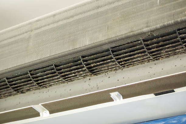 Best General Air Duct Cleaning  in Holiday City Berkeley, NJ
